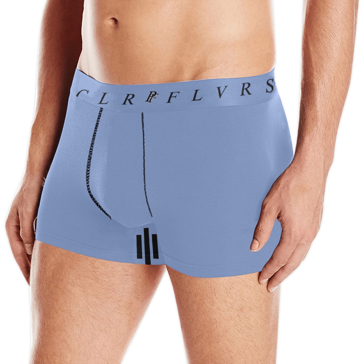 Men's Boxer Briefs with Custom Waistband (L10)
