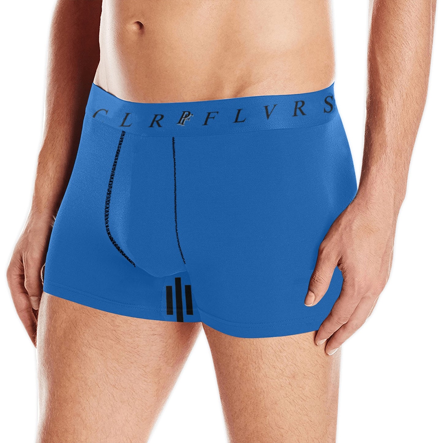 Men's Boxer Briefs with Custom Waistband (L10)