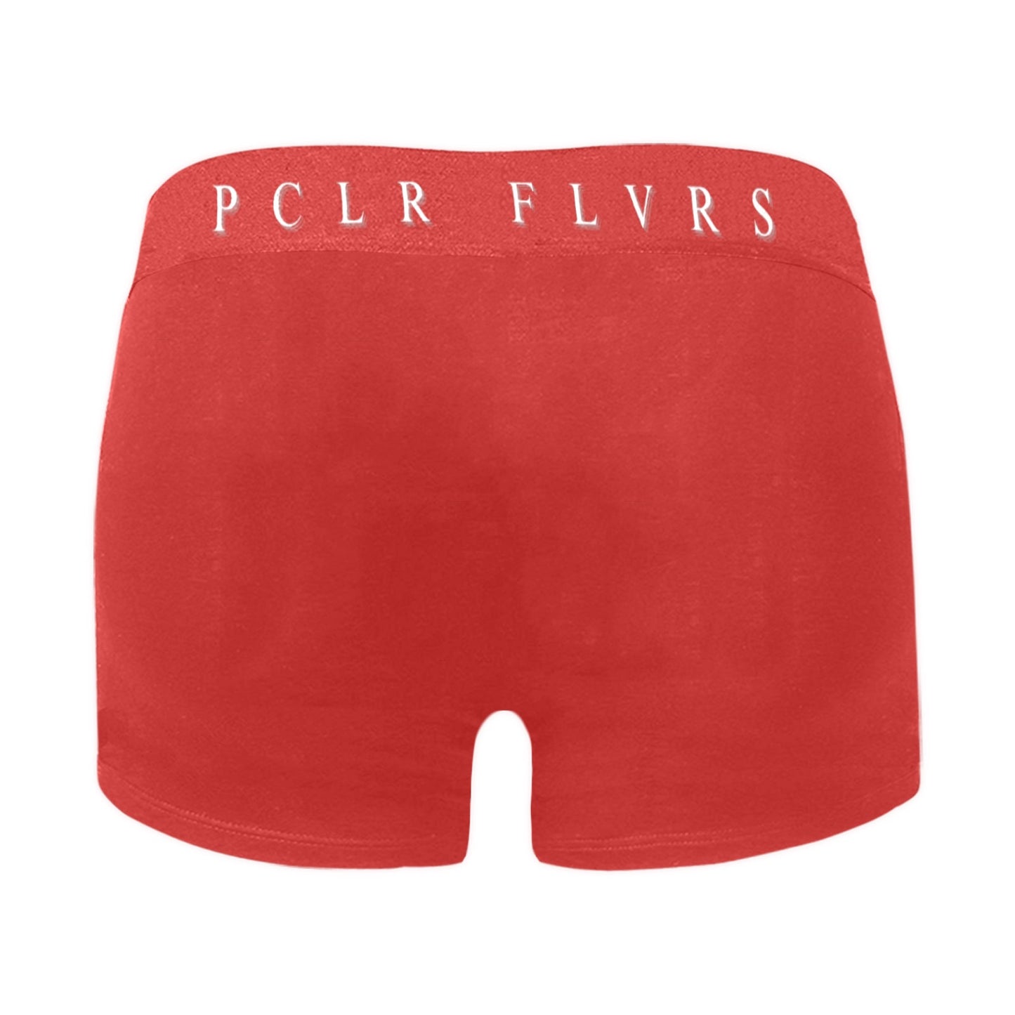 Men's Boxer Briefs with Custom Waistband (L10)