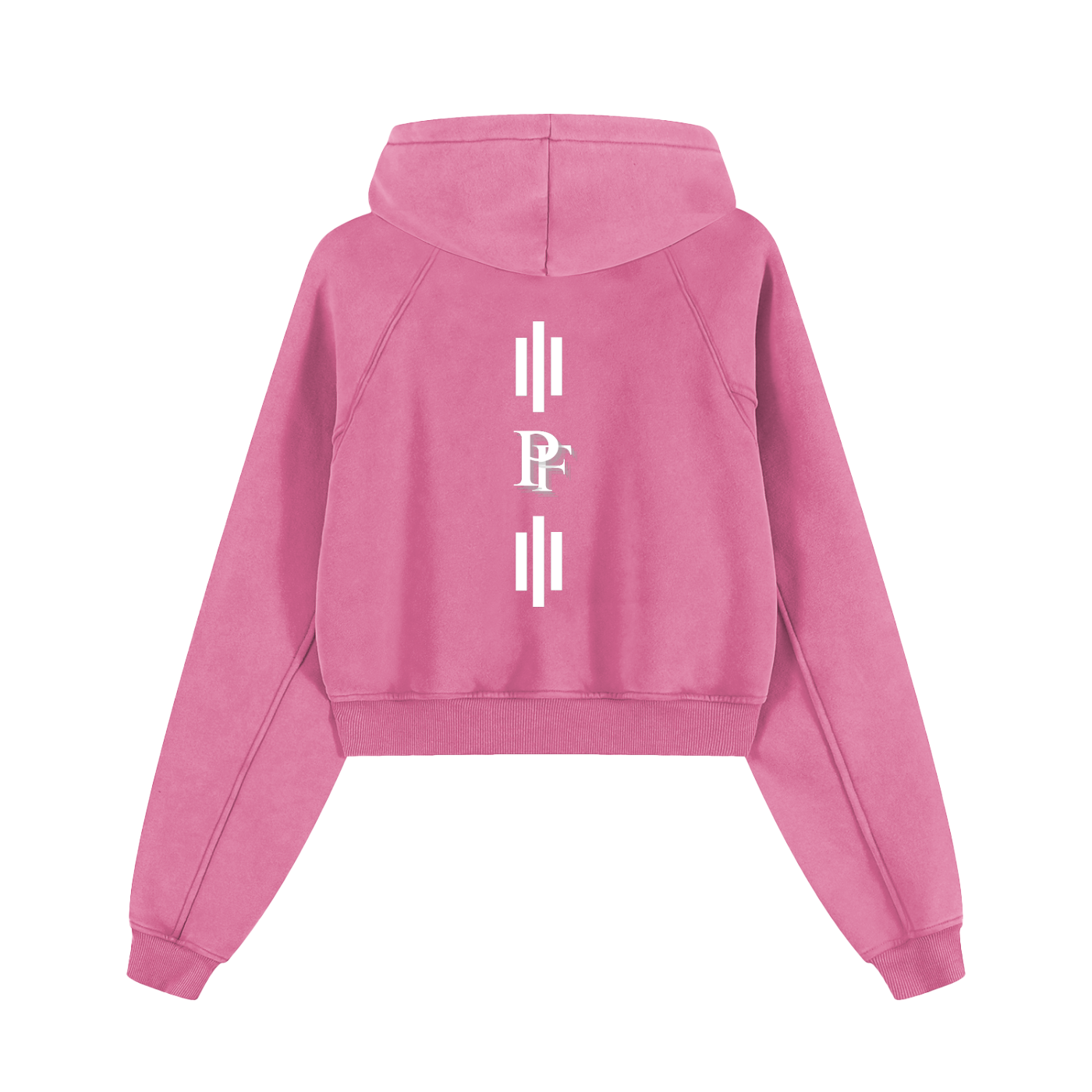 Snow Washed Cropped Hoodie
