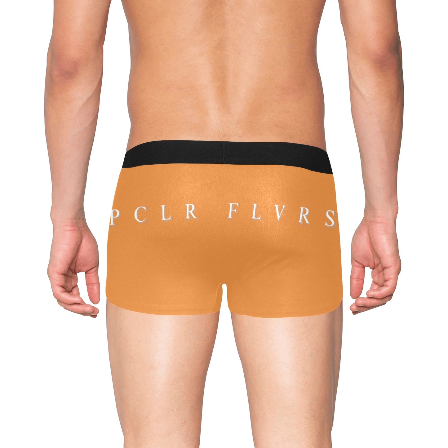 Men's Boxer Briefs with Fly