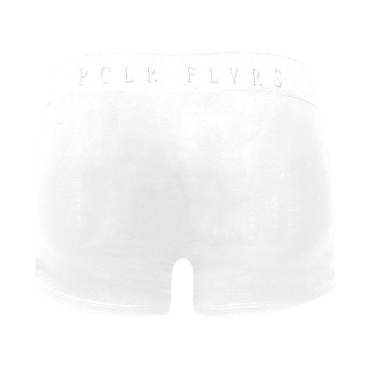 Men's Boxer Briefs with Custom Waistband (L10)