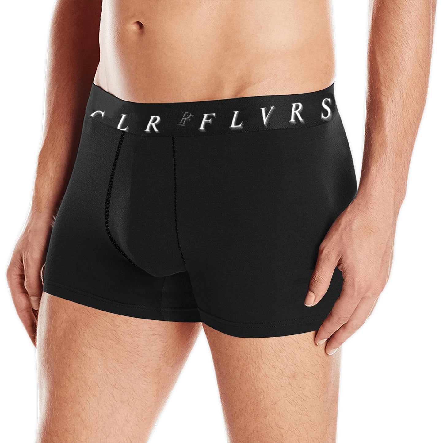 Men's Boxer Briefs with Custom Waistband (L10)