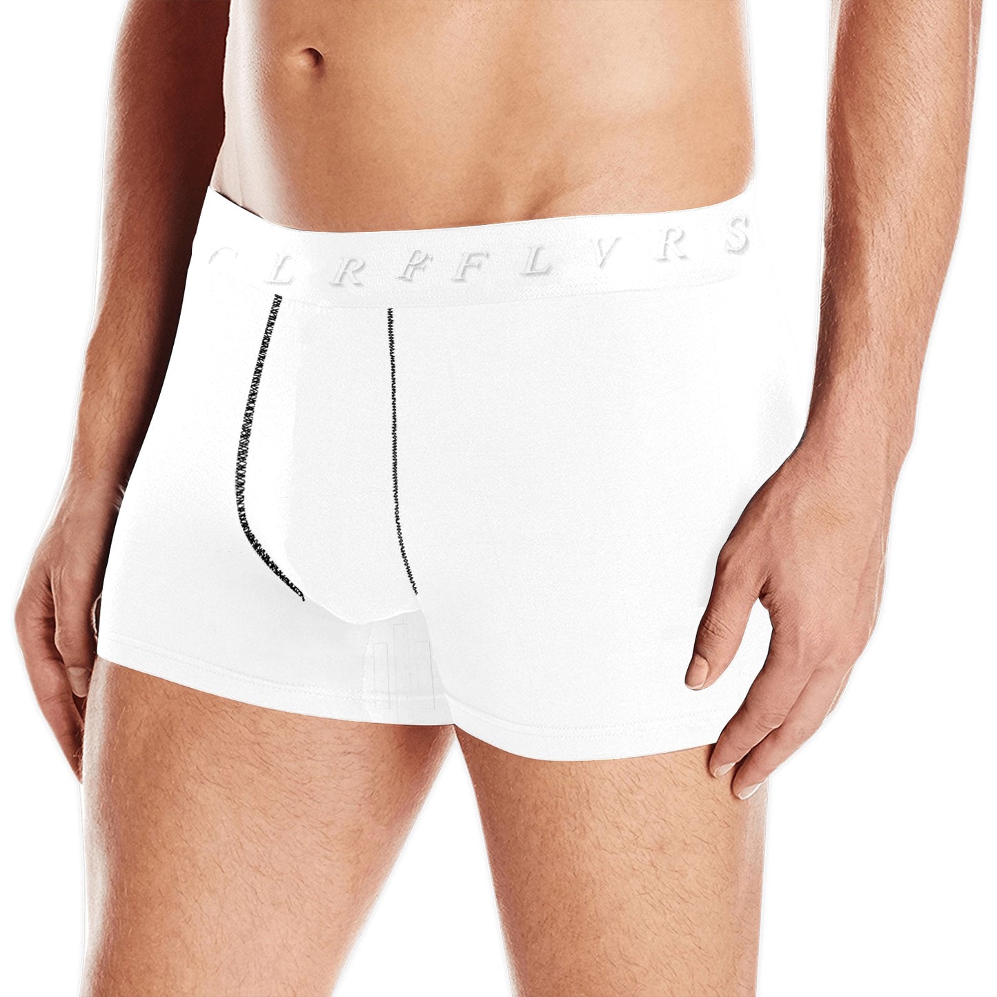 Men's Boxer Briefs with Custom Waistband (L10)