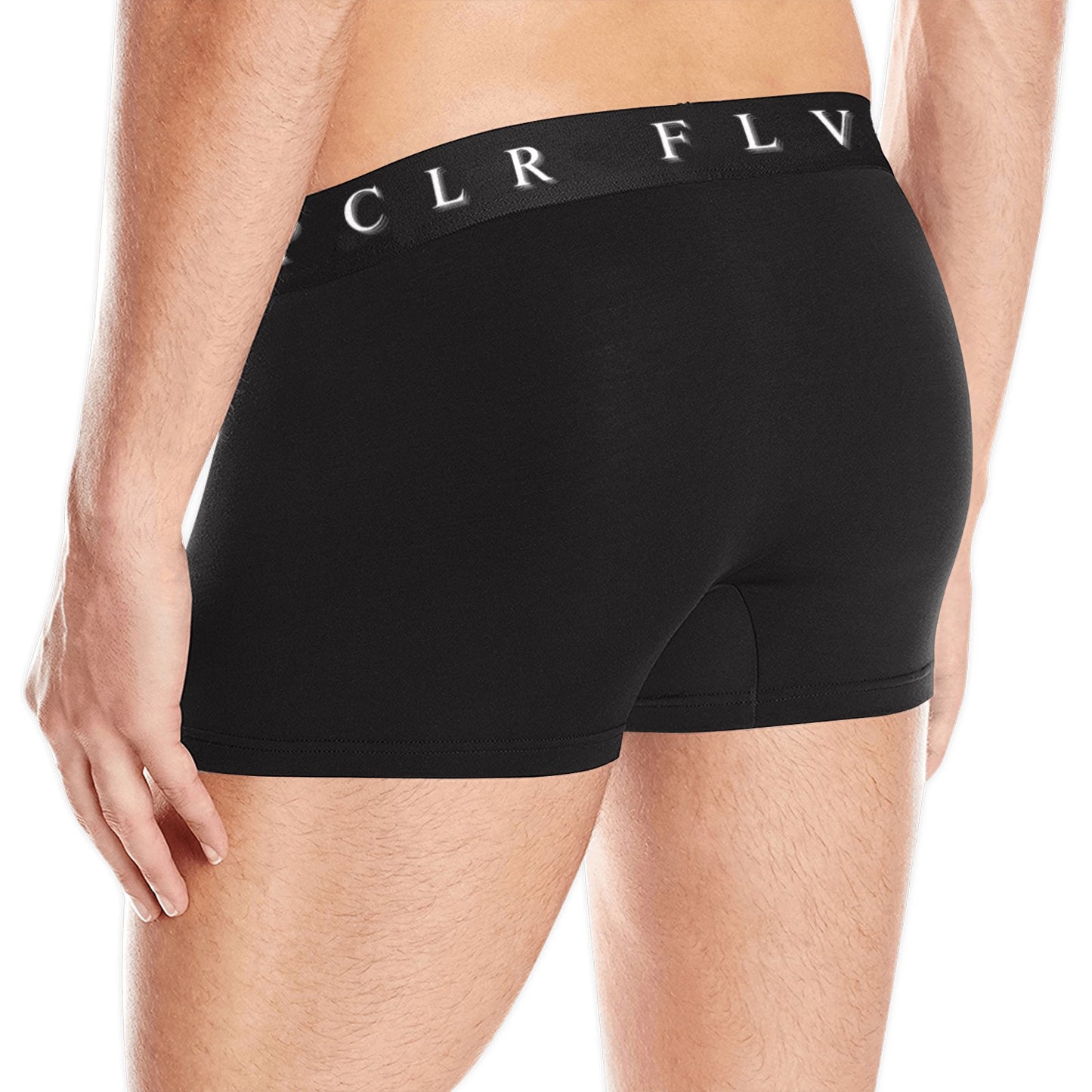 Men's Boxer Briefs with Custom Waistband (L10)