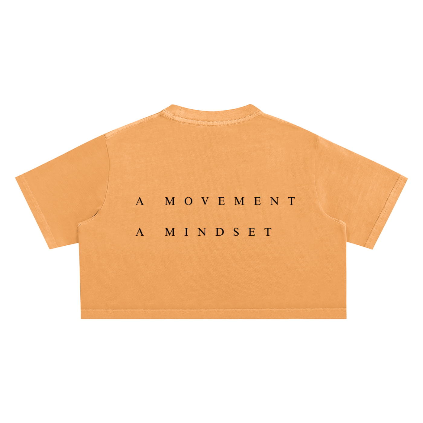 PCLR FLVRS - Washed Crop Top