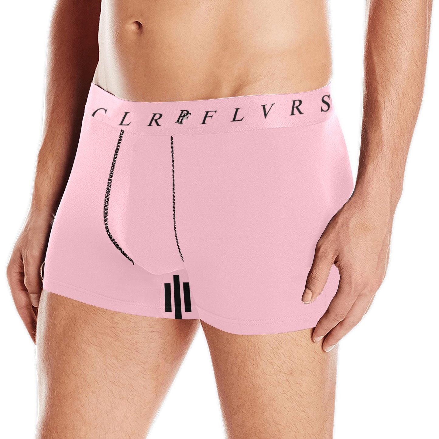 Men's Boxer Briefs with Custom Waistband (L10)
