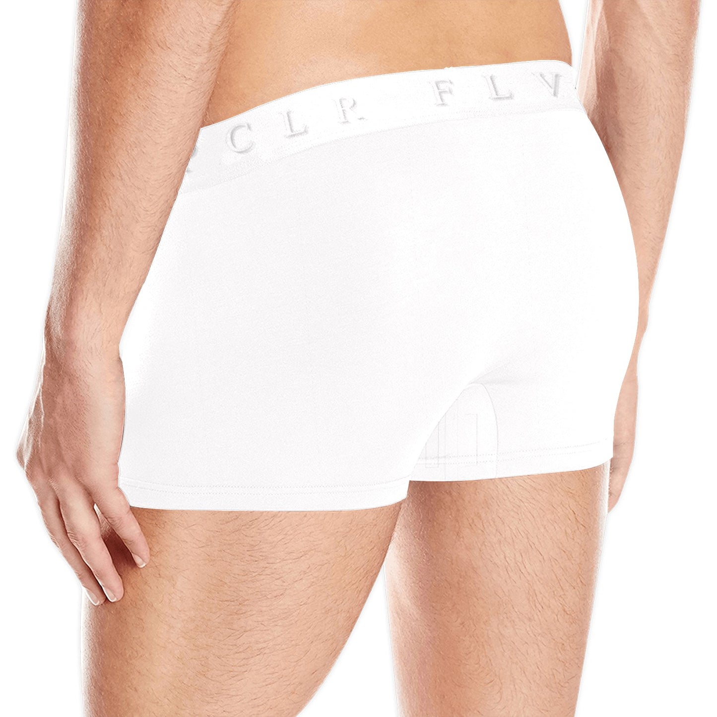 Men's Boxer Briefs with Custom Waistband (L10)