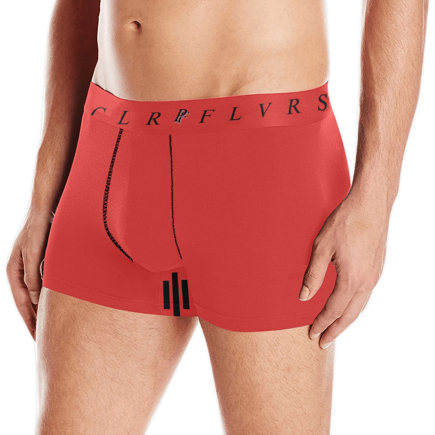 Men's Boxer Briefs with Custom Waistband (L10)