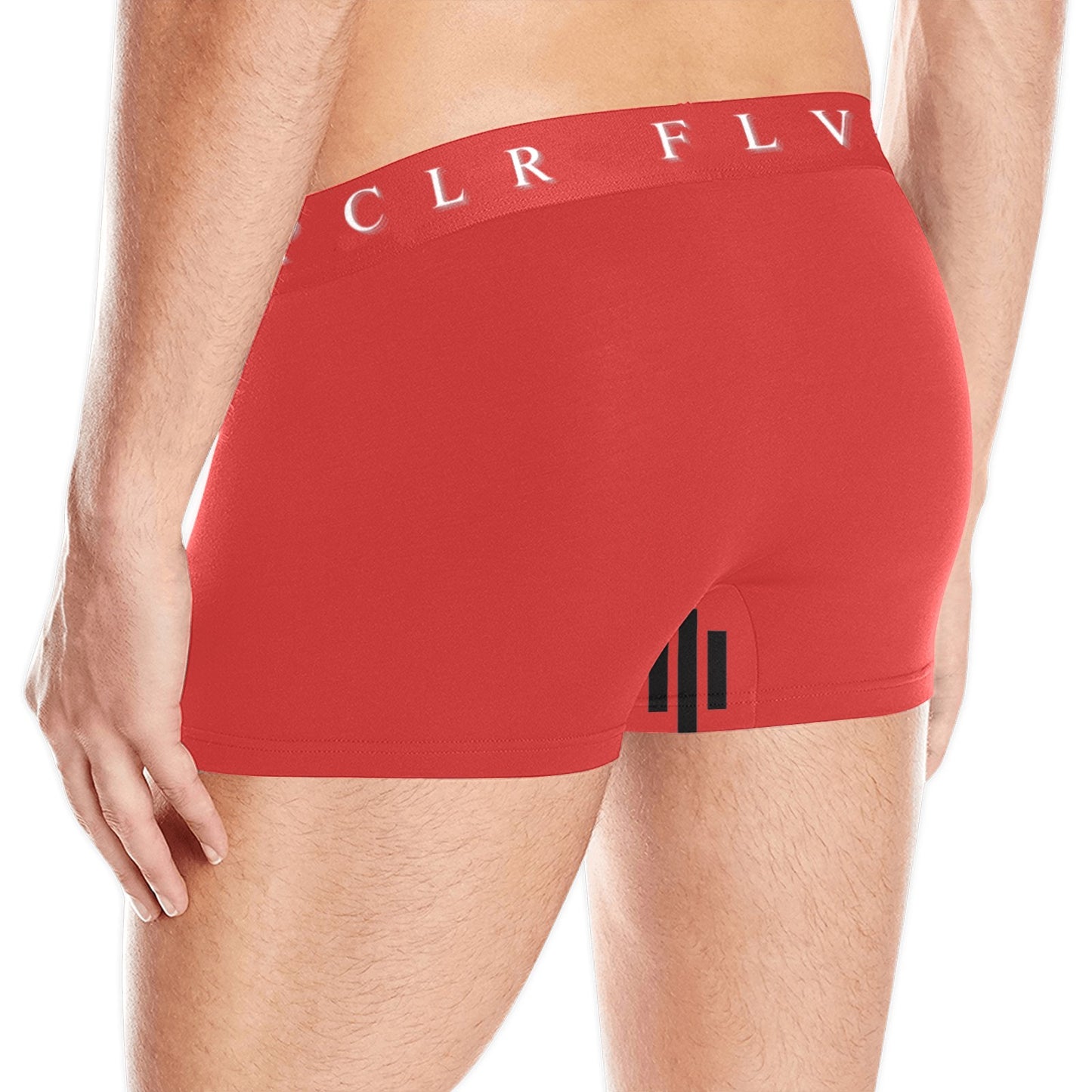 Men's Boxer Briefs with Custom Waistband (L10)