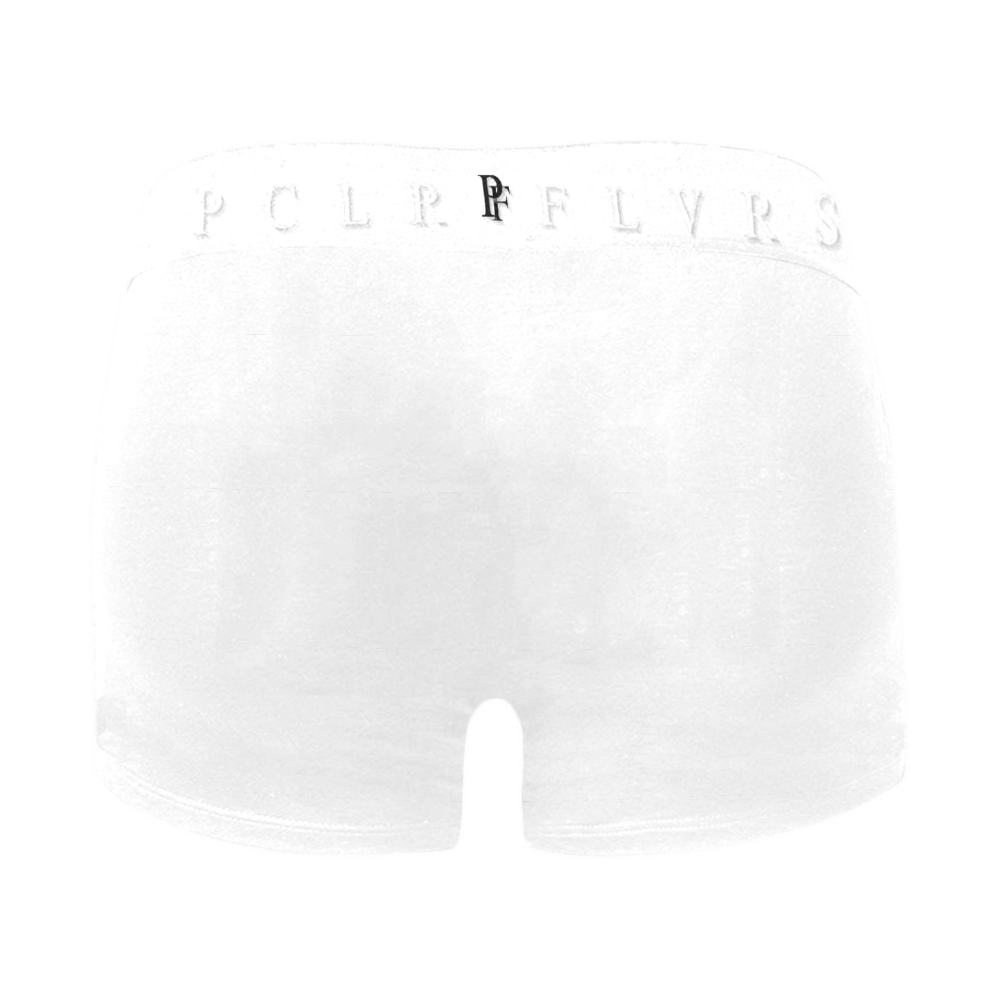Men's Boxer Briefs with Custom Waistband (L10)