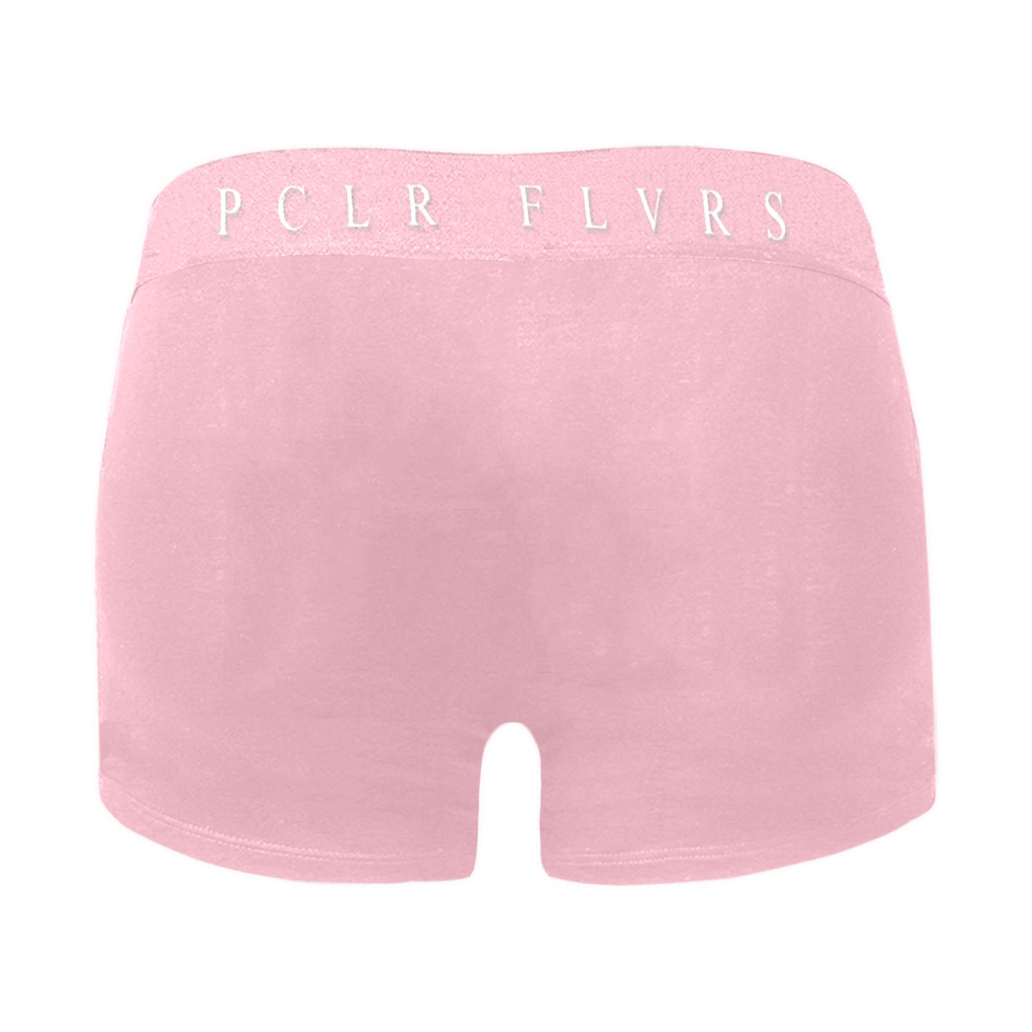 Men's Boxer Briefs with Custom Waistband (L10)