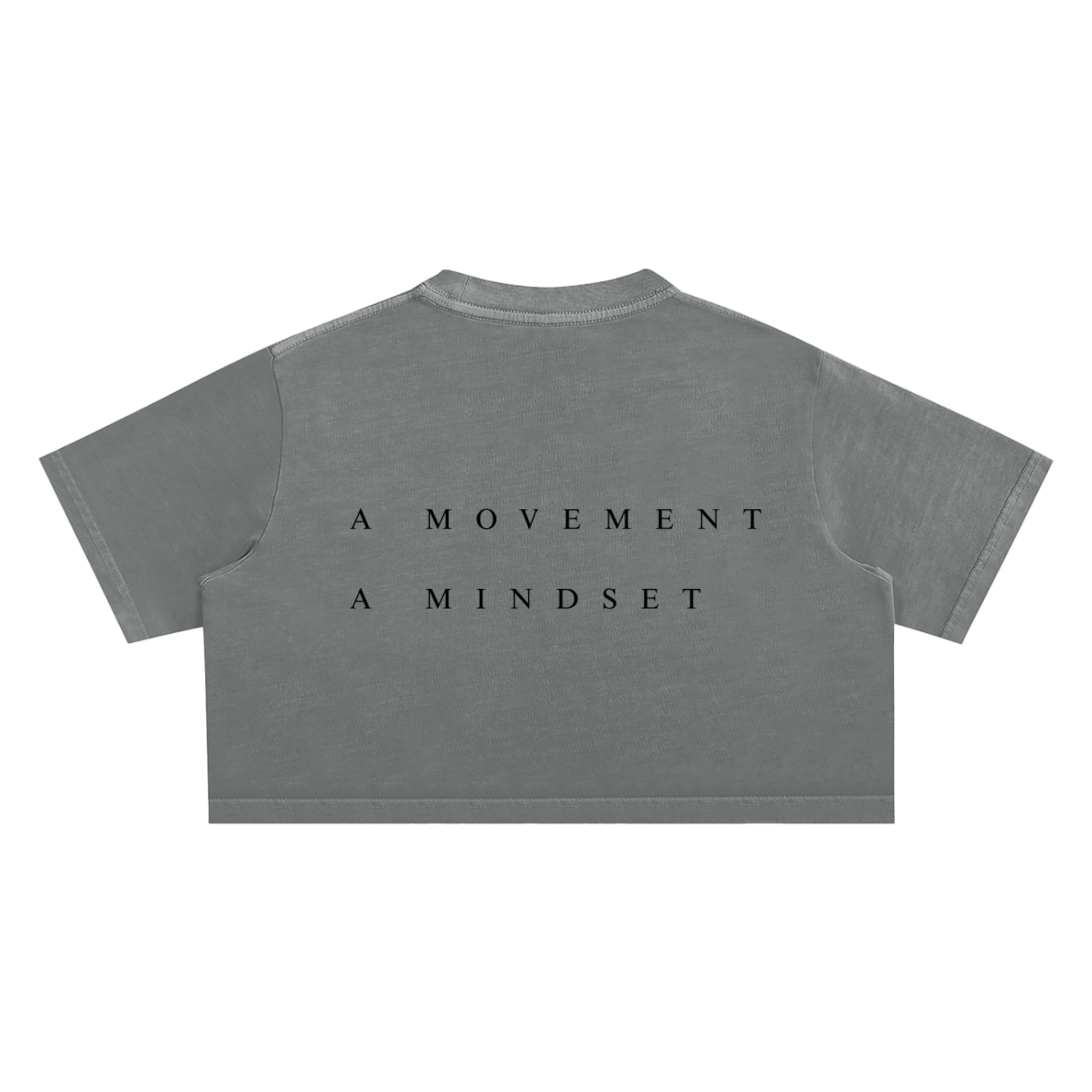 PCLR FLVRS - Washed Crop Top