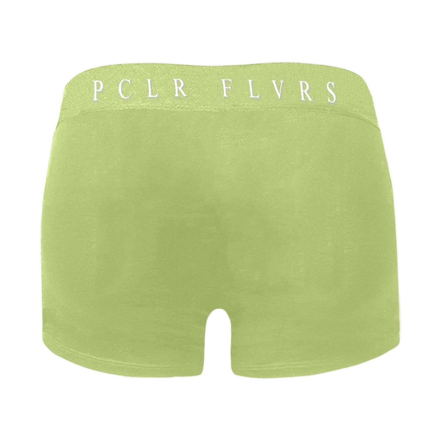 Men's Boxer Briefs with Custom Waistband (L10)