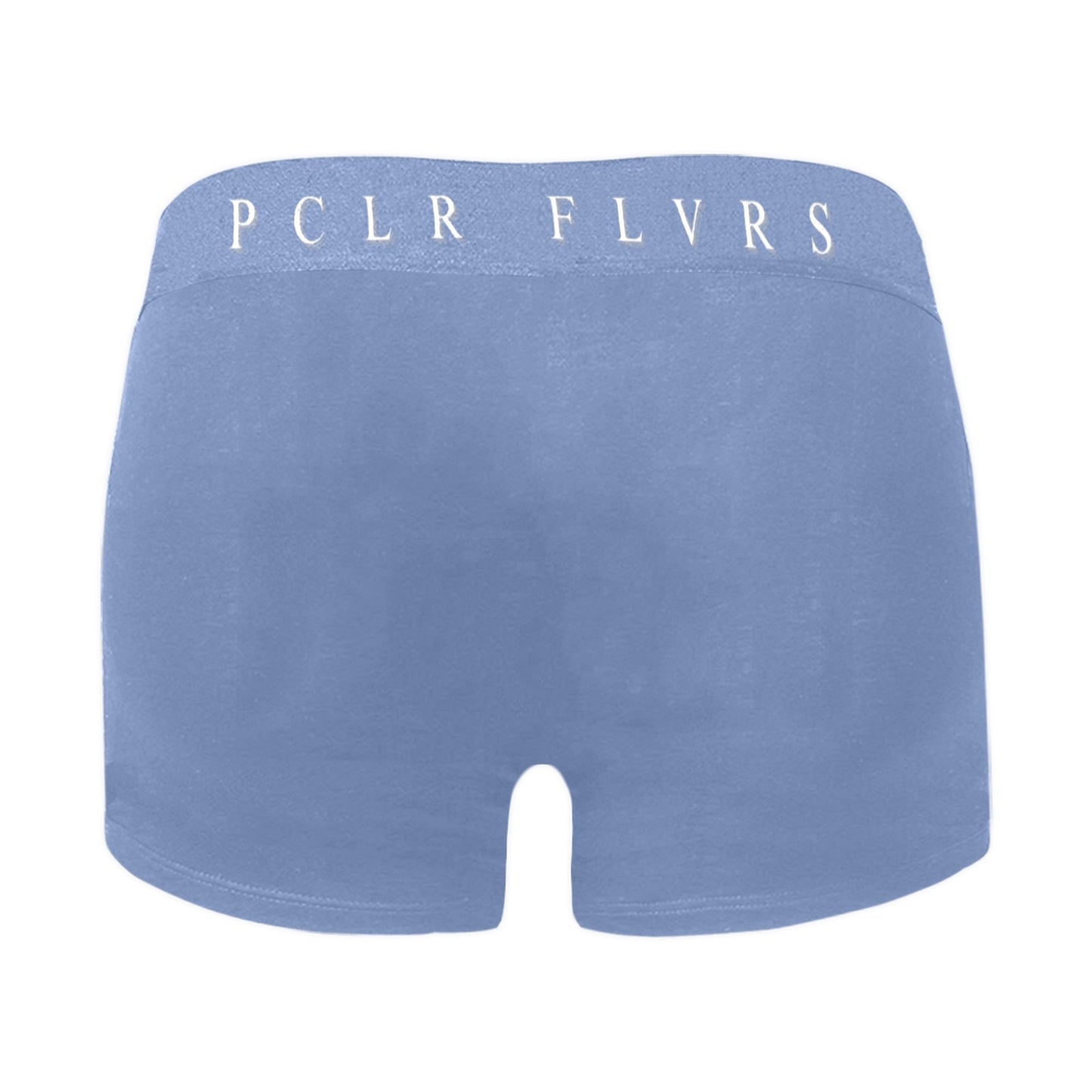 Men's Boxer Briefs with Custom Waistband (L10)