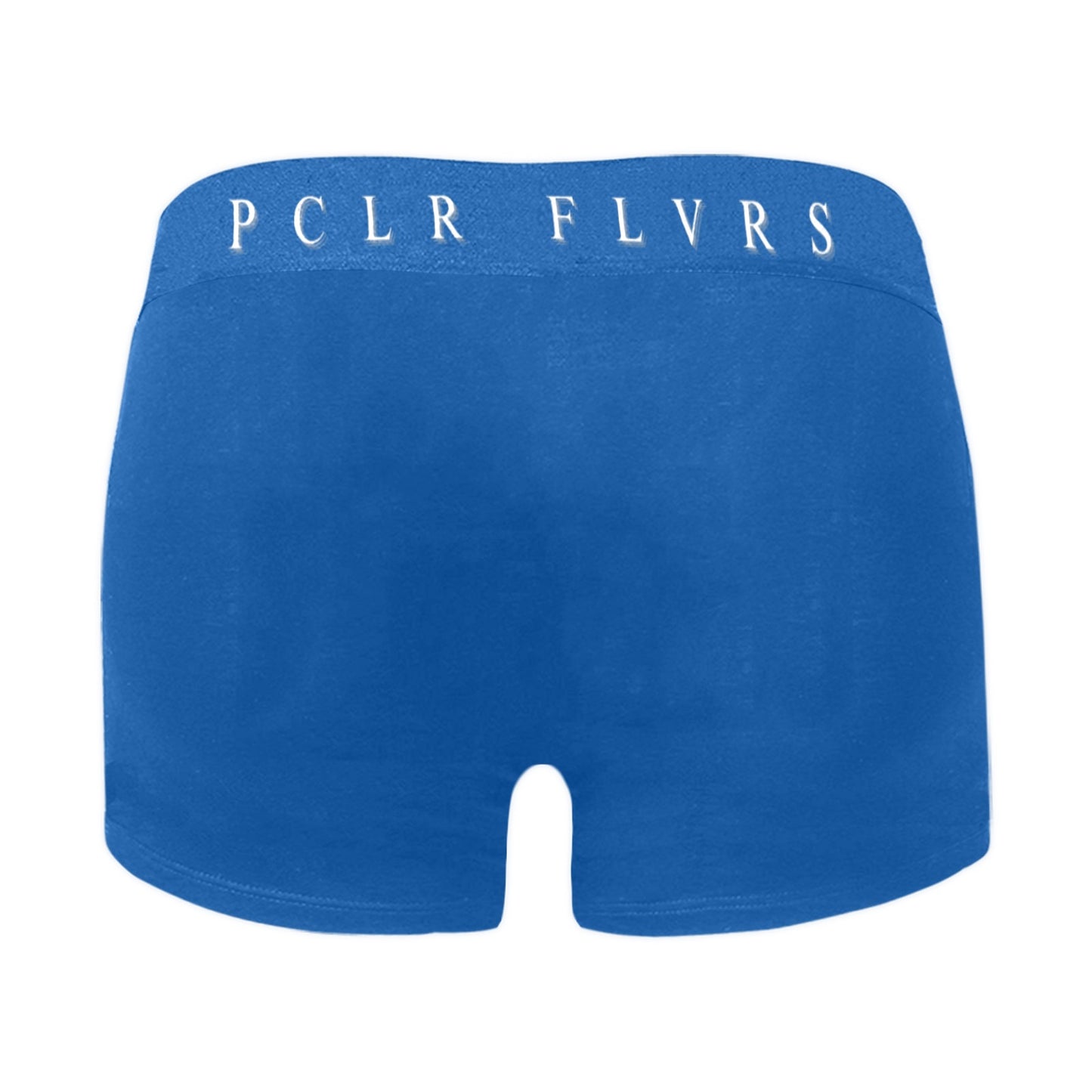Men's Boxer Briefs with Custom Waistband (L10)