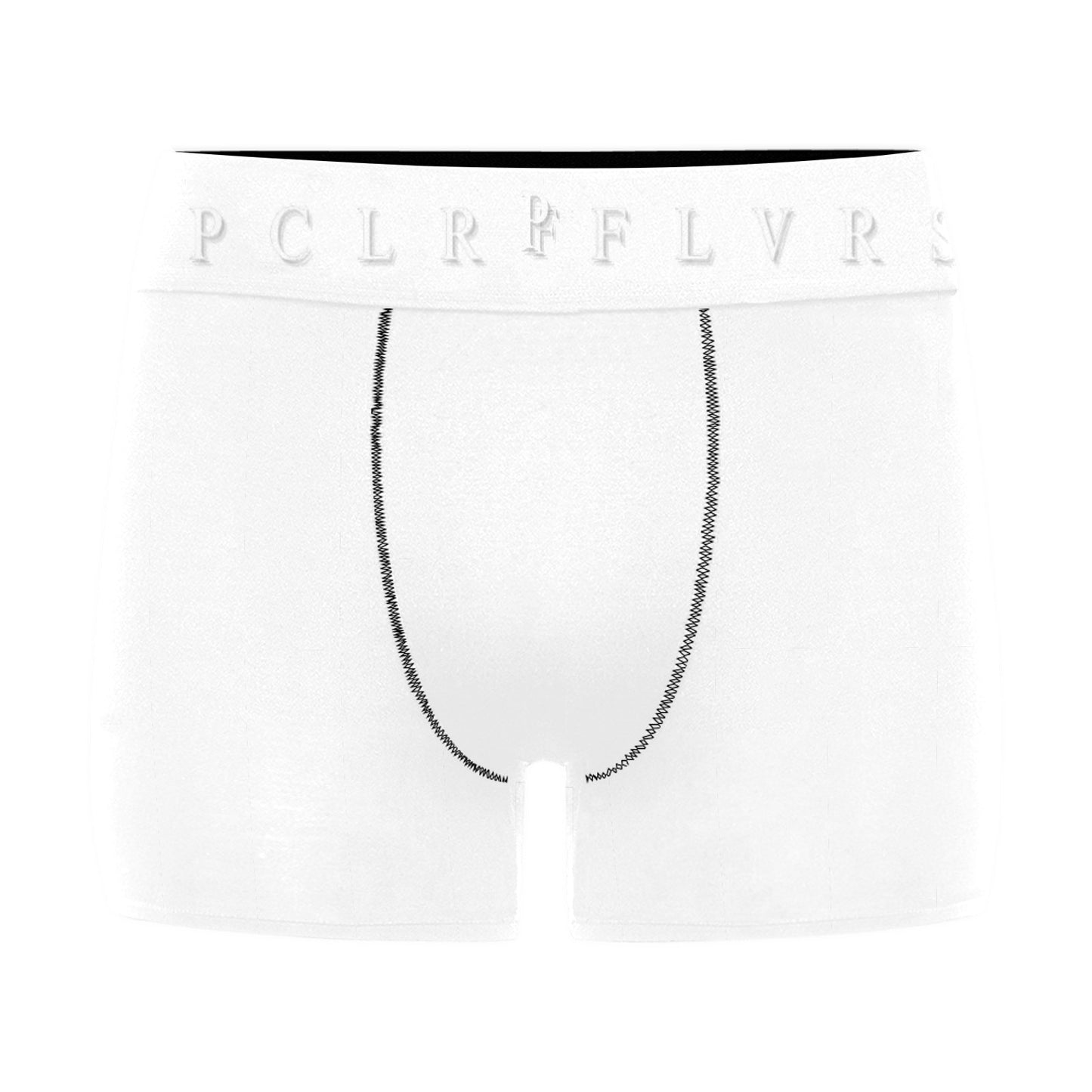 Men's Boxer Briefs with Custom Waistband (L10)