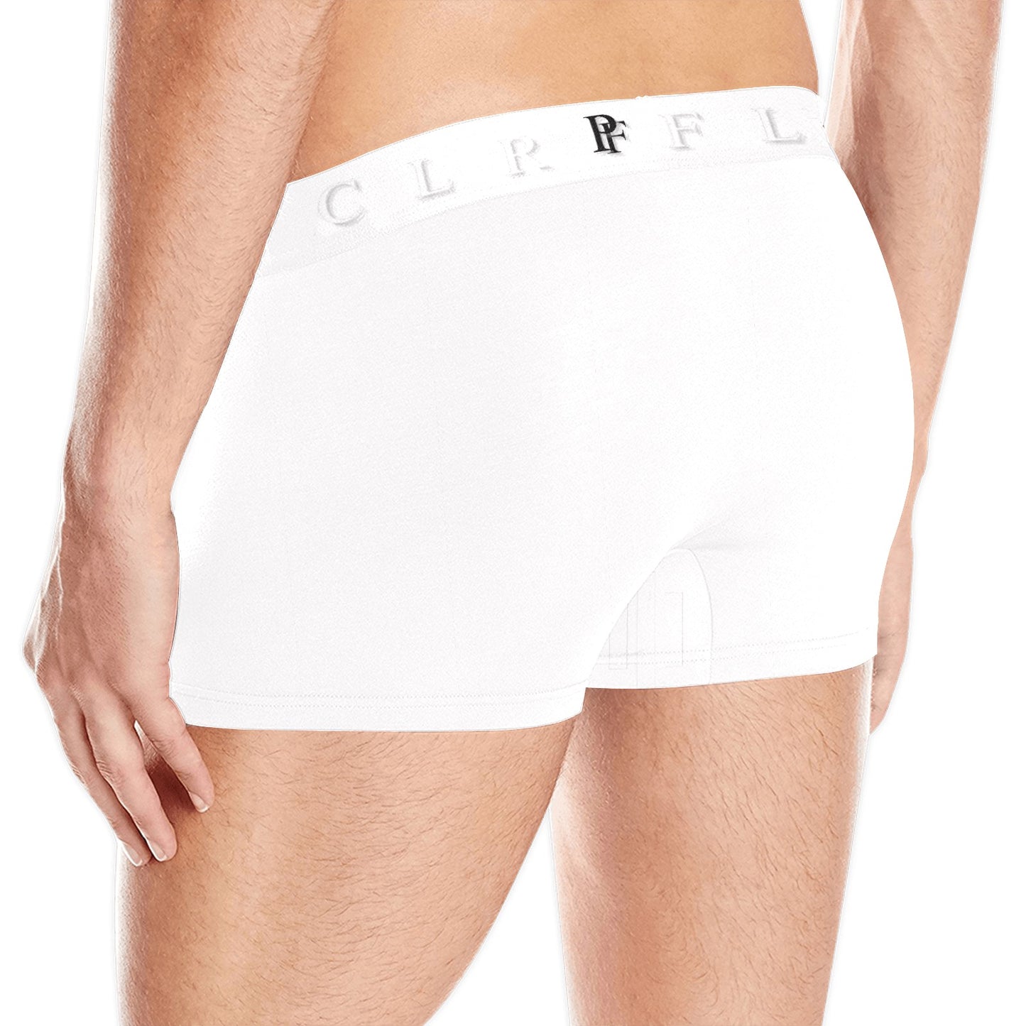 Men's Boxer Briefs with Custom Waistband (L10)