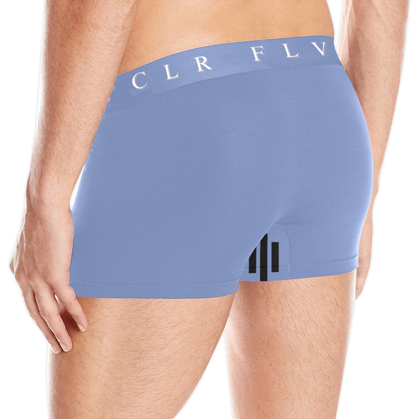 Men's Boxer Briefs with Custom Waistband (L10)
