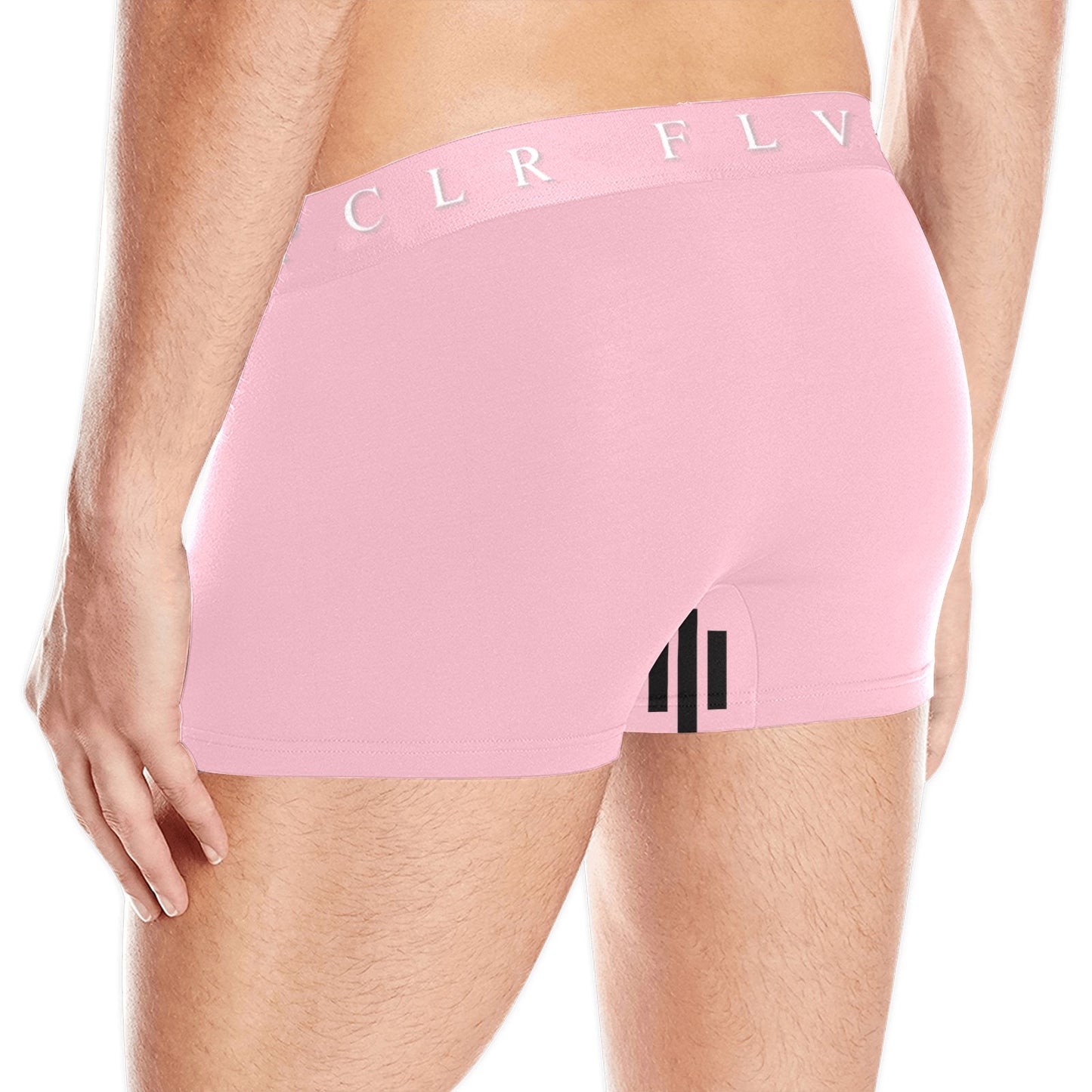 Men's Boxer Briefs with Custom Waistband (L10)