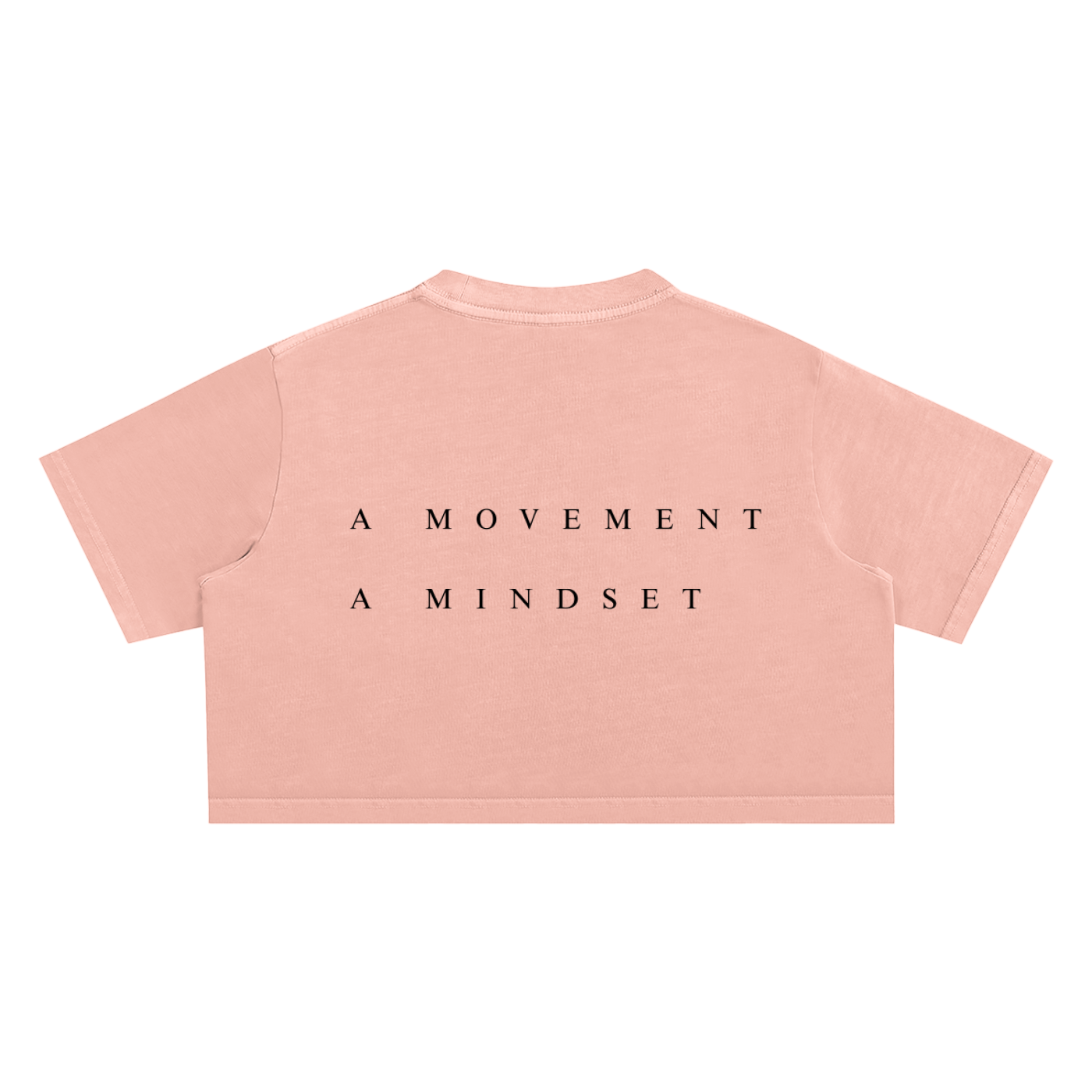 PCLR FLVRS - Washed Crop Top