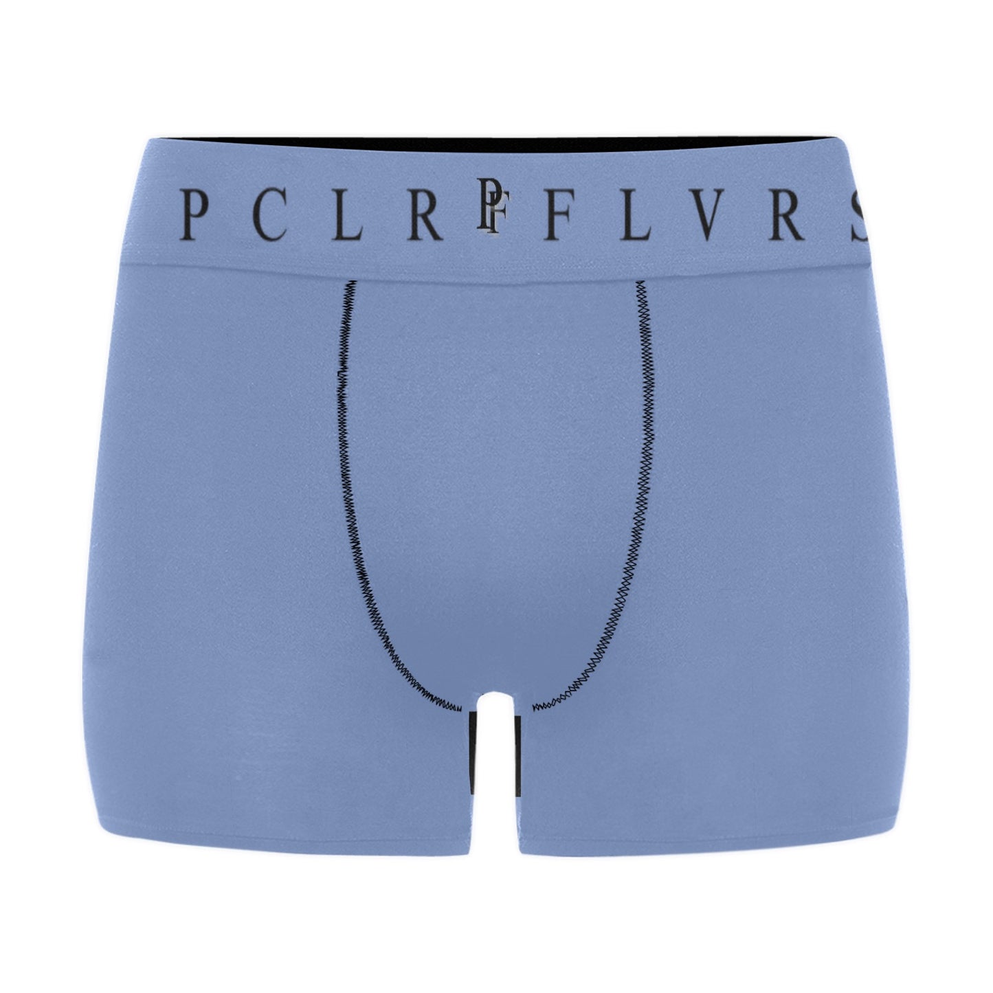 Men's Boxer Briefs with Custom Waistband (L10)