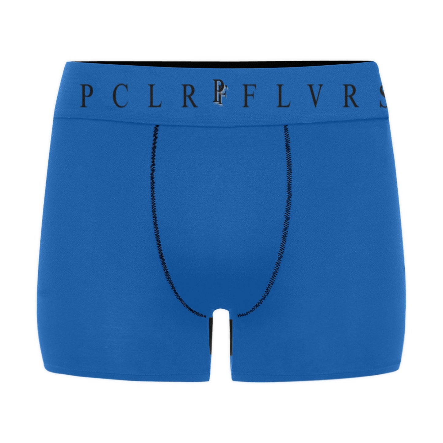 Men's Boxer Briefs with Custom Waistband (L10)
