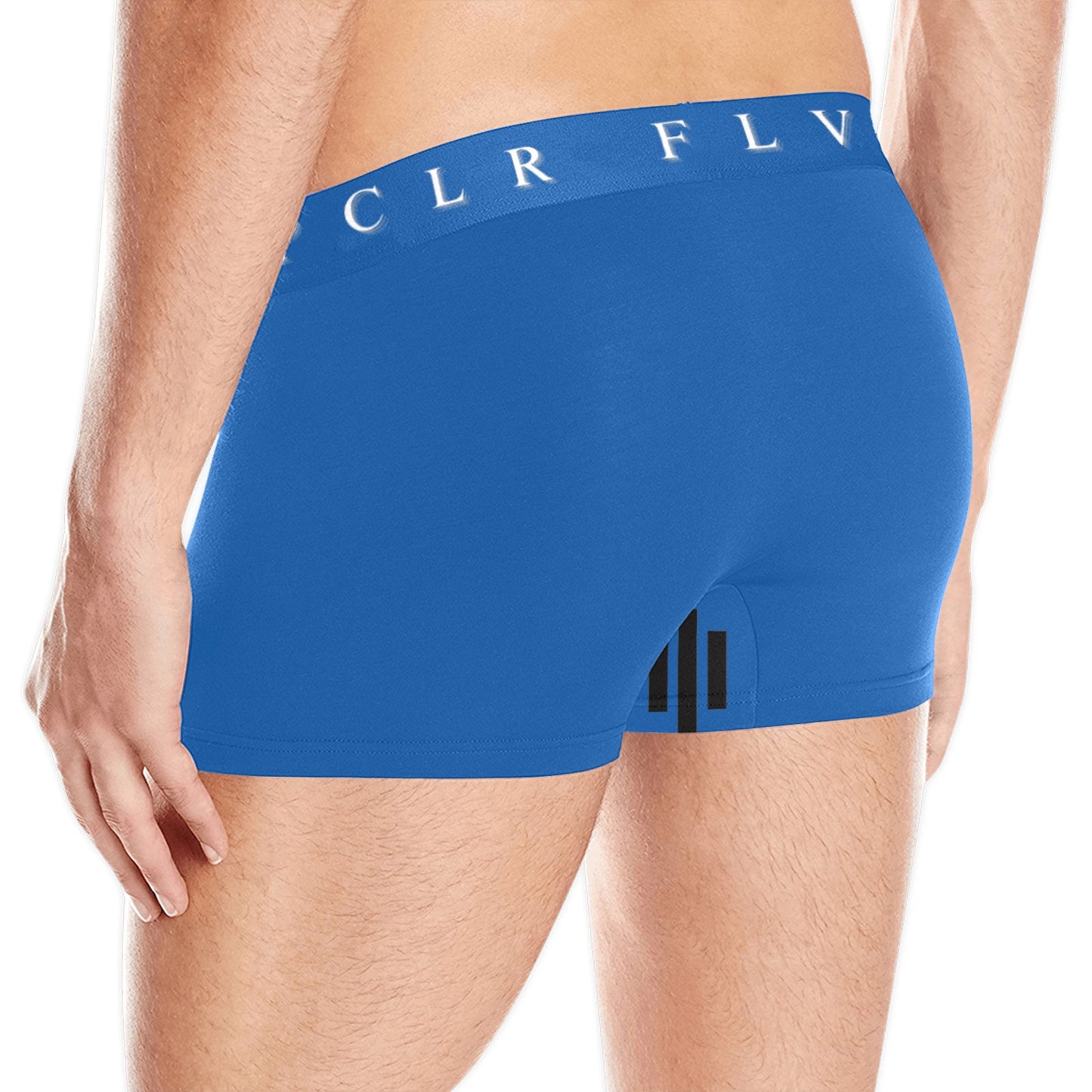 Men's Boxer Briefs with Custom Waistband (L10)