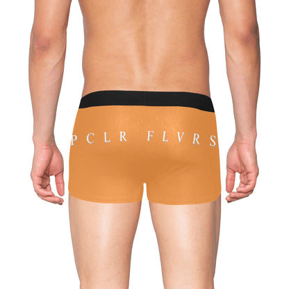 Men's Boxer Briefs with Fly